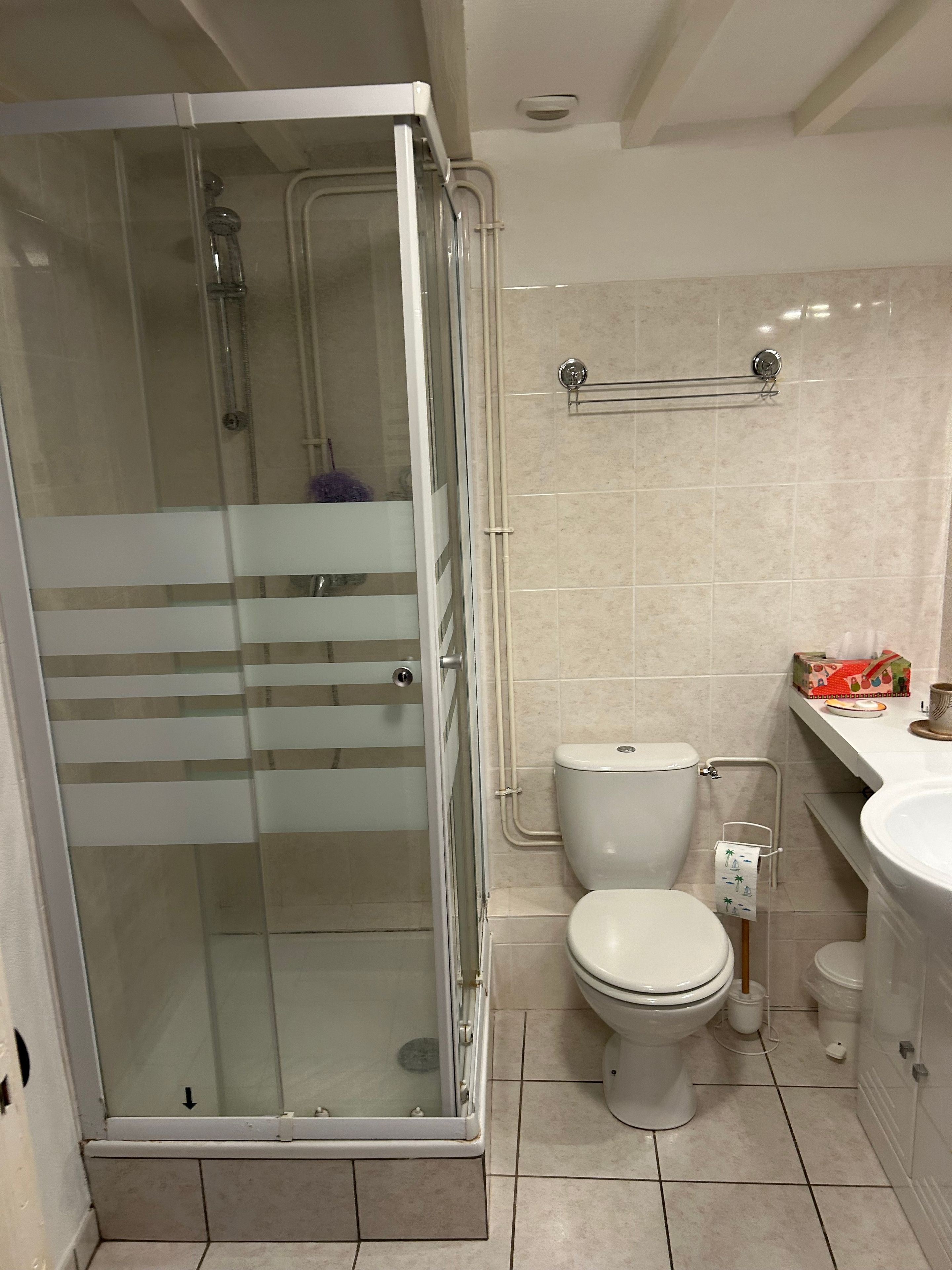 Een badkamer met een douchecabine, toilet en wastafel.