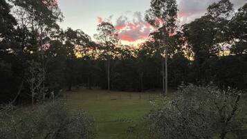 A grassy field with trees and a fence.