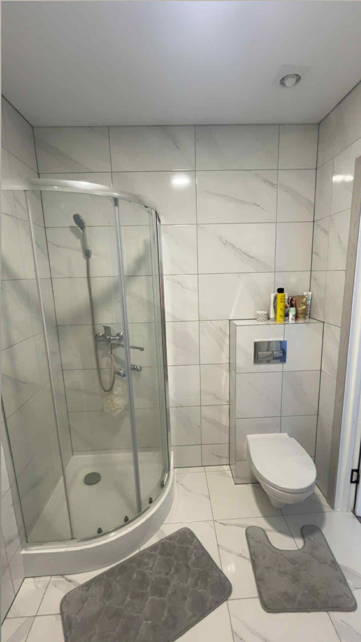 Un baño con ducha de vidrio, inodoro y estante con artículos de aseo.