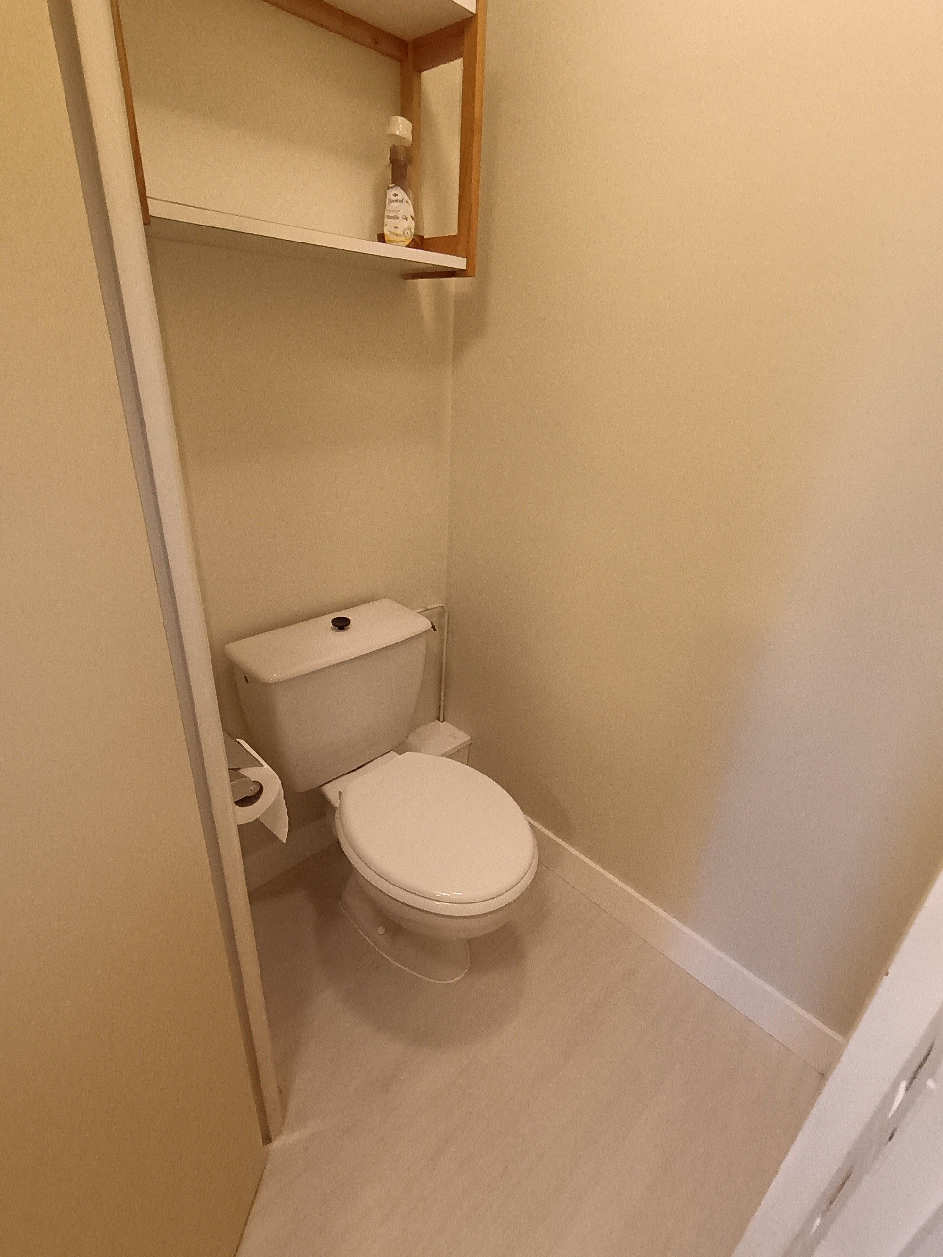 A small, compact bathroom with a toilet, a shelf above it, and a roll of toilet paper.