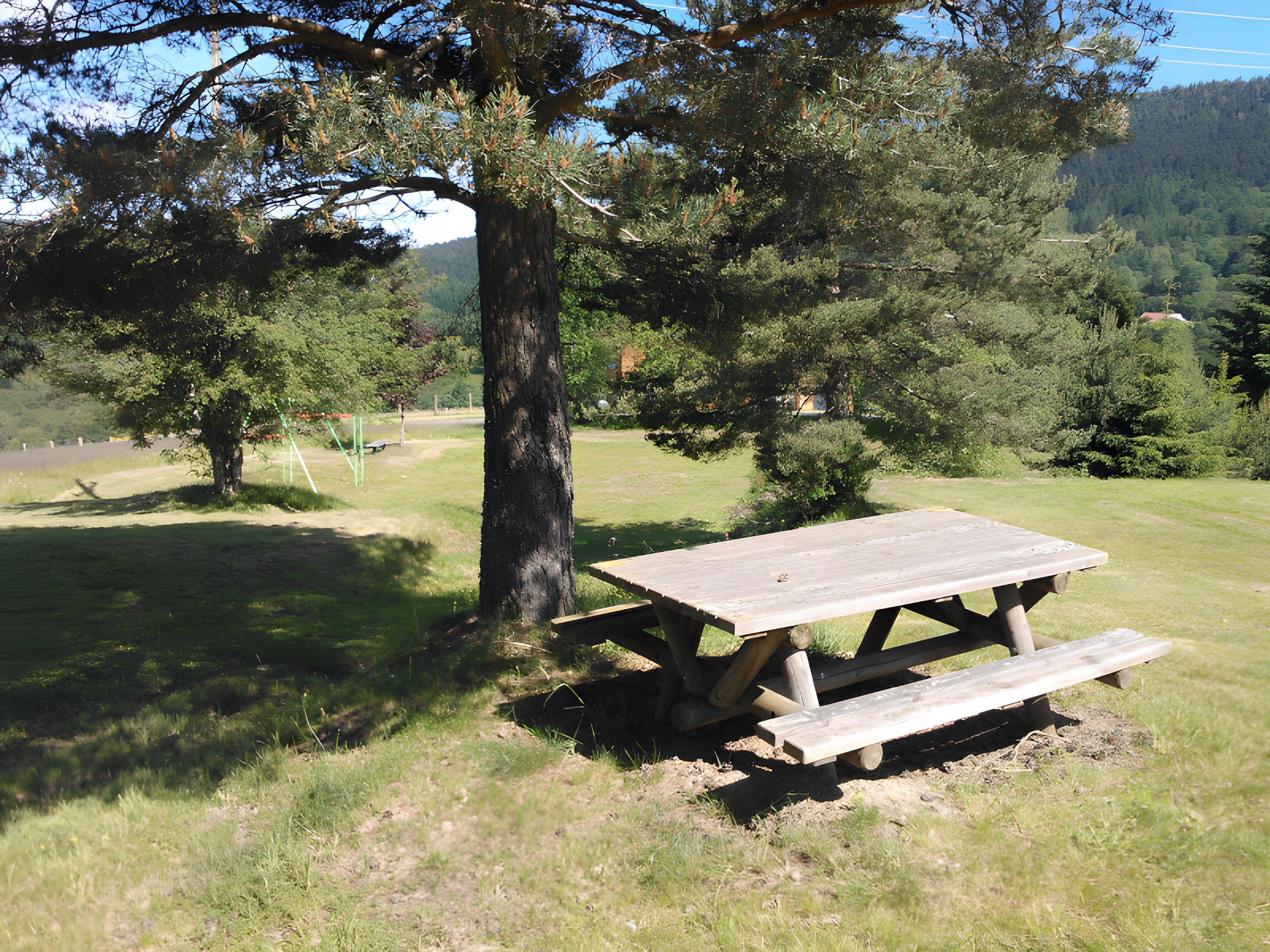 A picnic table in a grassy area with trees and a mountain in the background.
