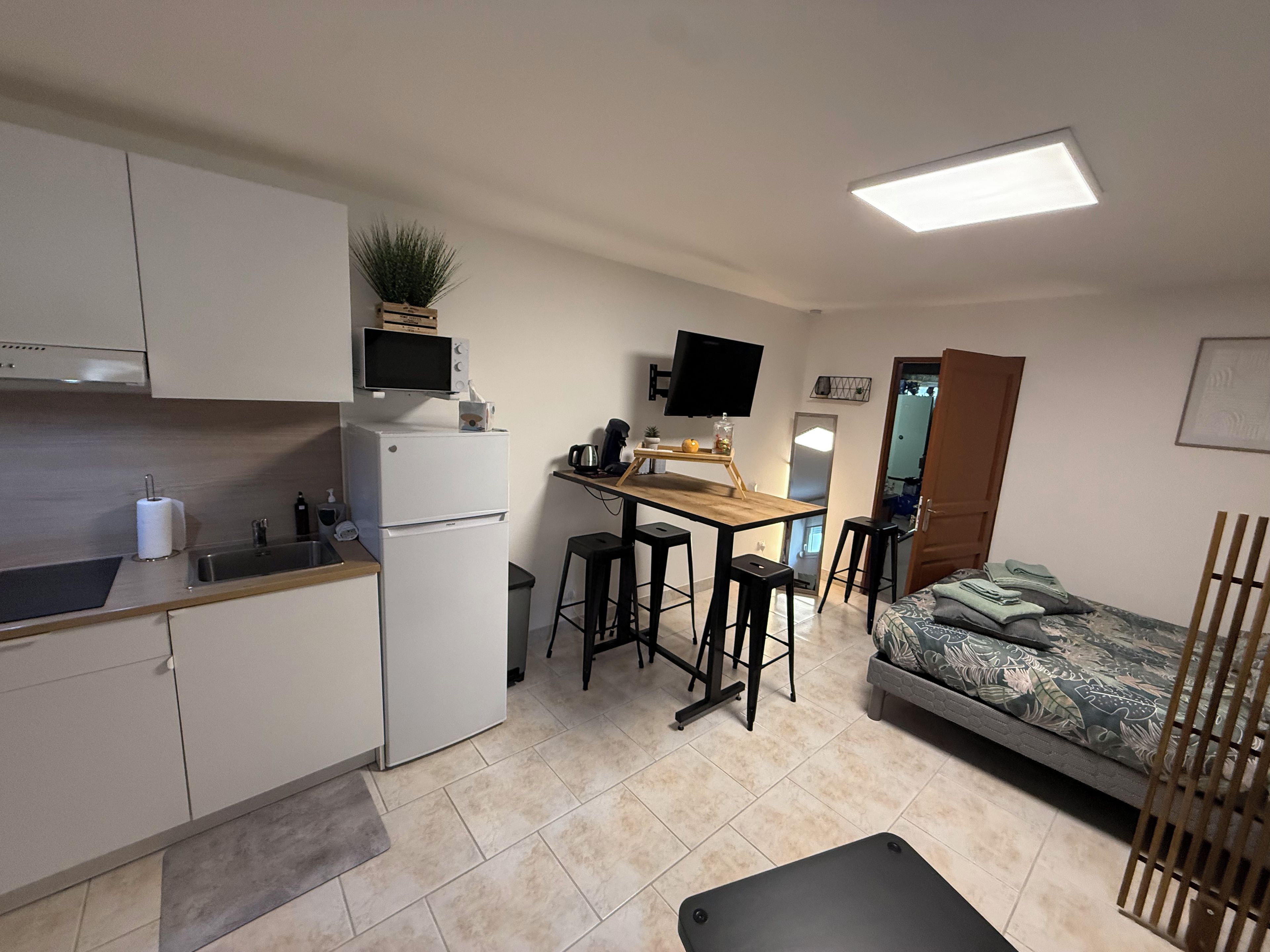 A compact living space with a kitchenette, a dining area, a bed, and a TV.