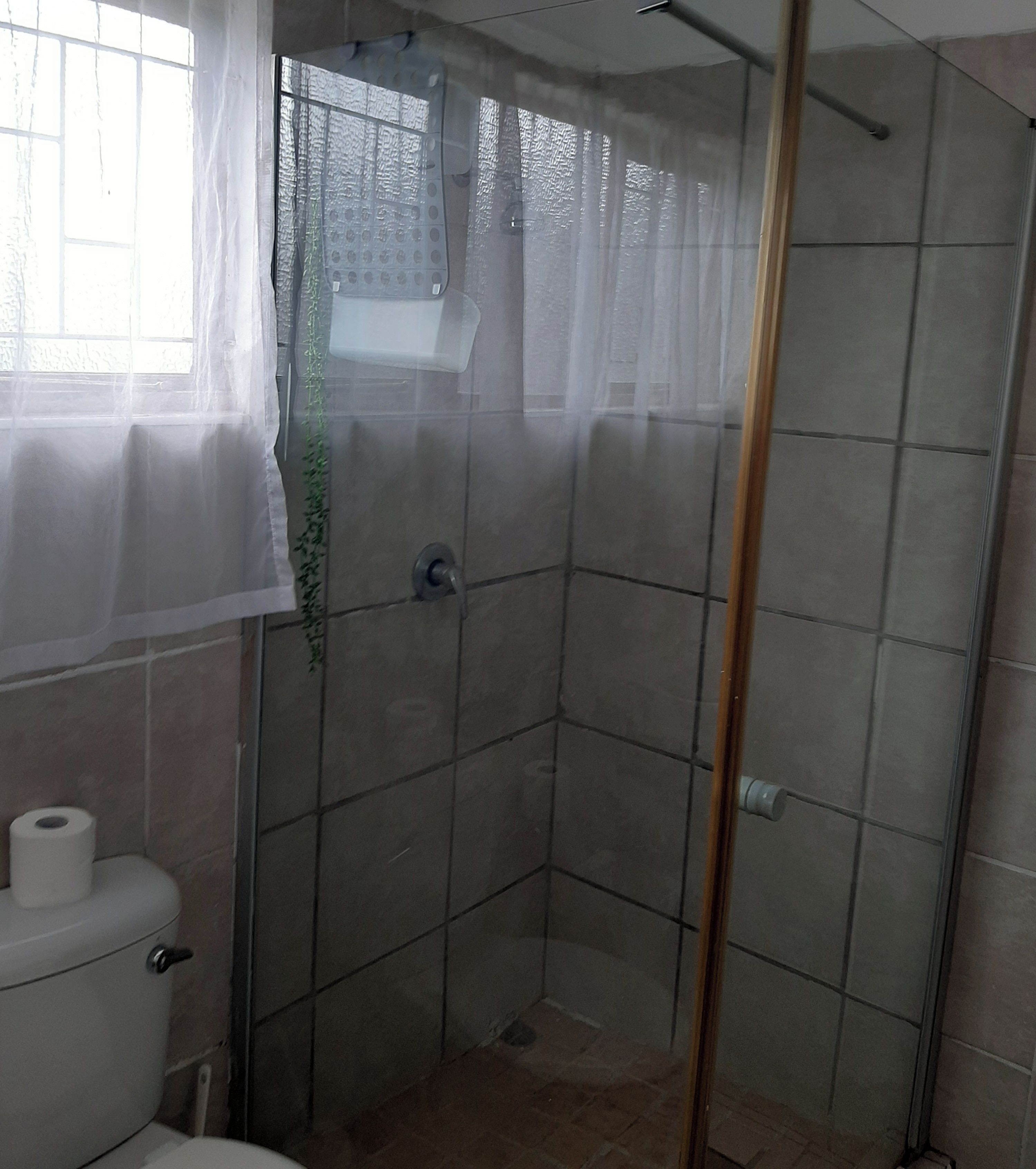A bathroom with a shower, toilet, and a window with a curtain.