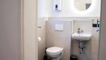 A modern bathroom with a toilet, sink, and mirror.