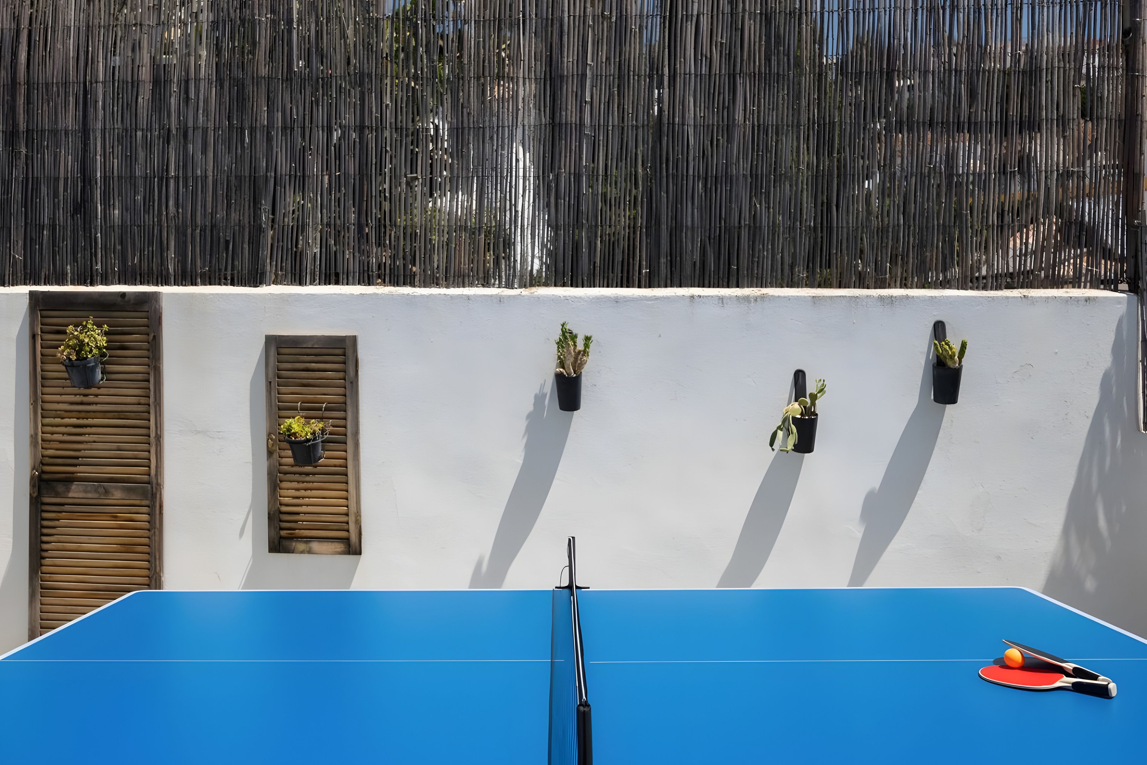 A blue ping pong table with a paddle and ball, a wooden door with a window, and a bamboo fence.