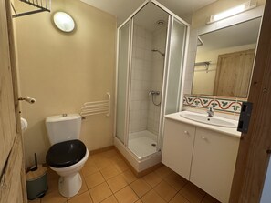 A bathroom with a toilet, a shower enclosure, a sink, and a mirror. - Le Gambetta, au centre ville (La Rochelle)