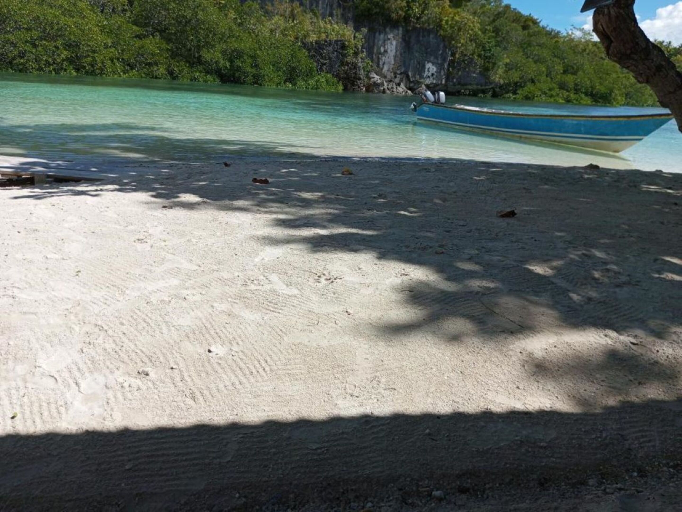 Una playa con agua turquesa cristalina, un bote y un árbol proyectando sombras sobre la arena.