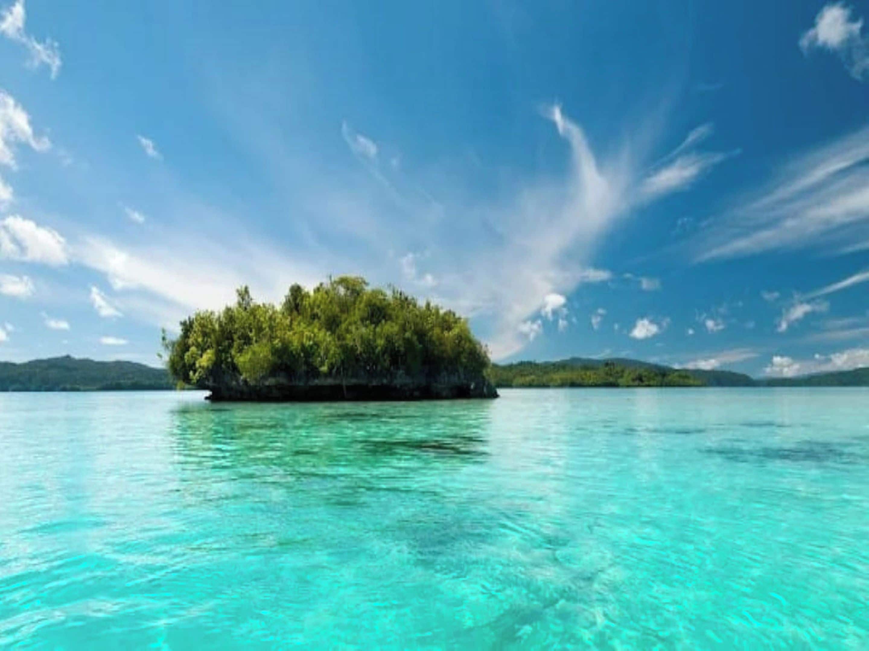 A clear turquoise sea with a small island covered in greenery.