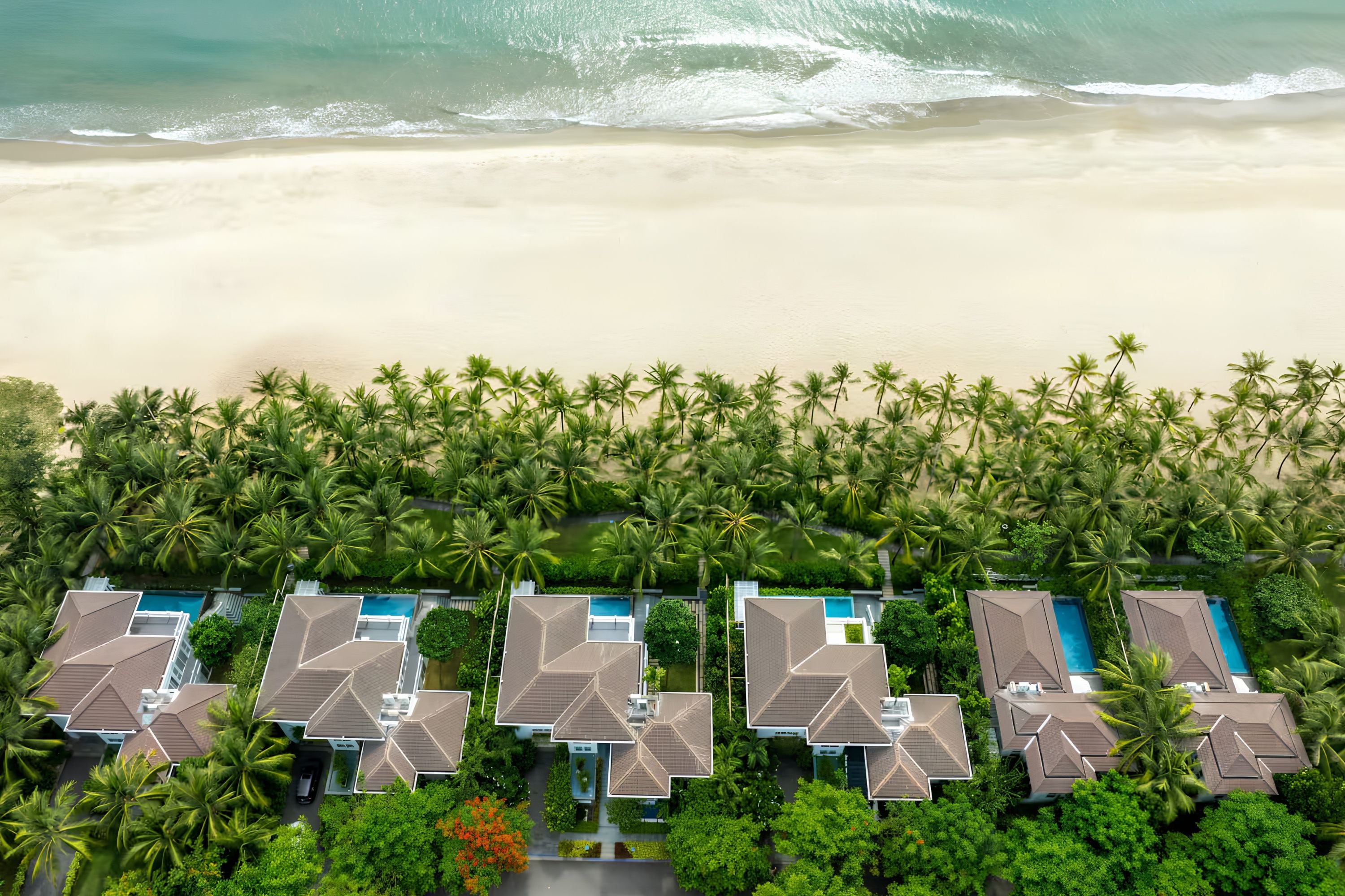 An aerial view of a beachfront resort with multiple villas, a pool area, and dense palm trees.