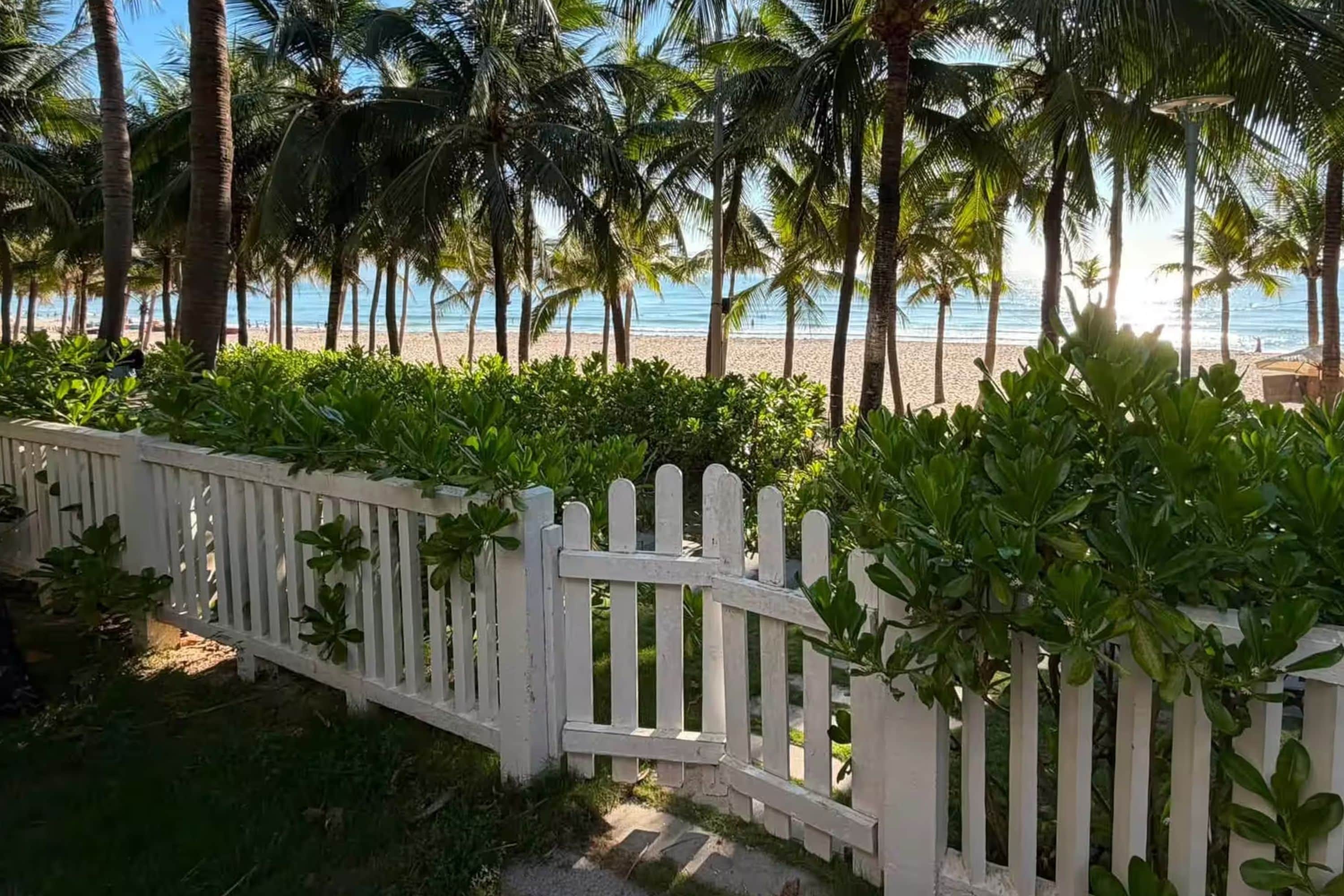Una cerca blanca de piquetes conduce a una playa con palmeras y una vista despejada del océano.
