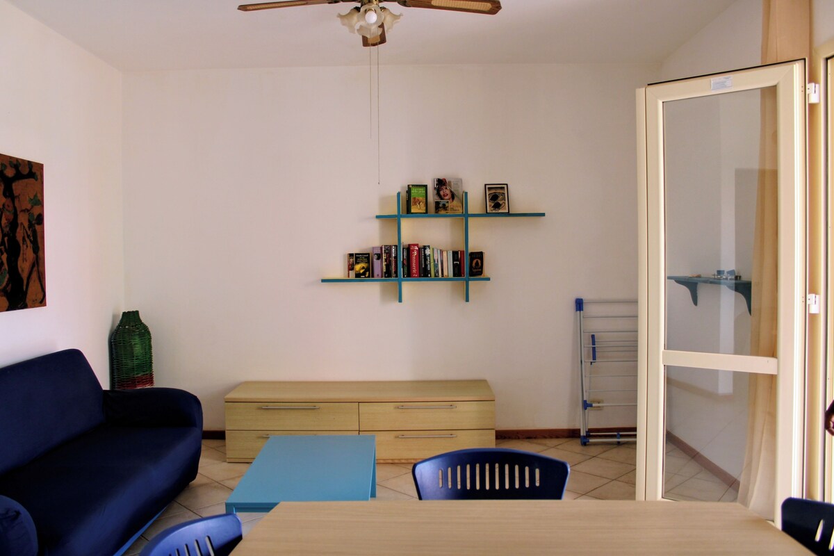 Una habitación con sofá, una mesa, una estantería y un ventilador de techo.