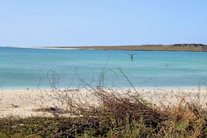 A beach with clear turquoise water, a sandy shore, and sparse vegetation in the foreground.