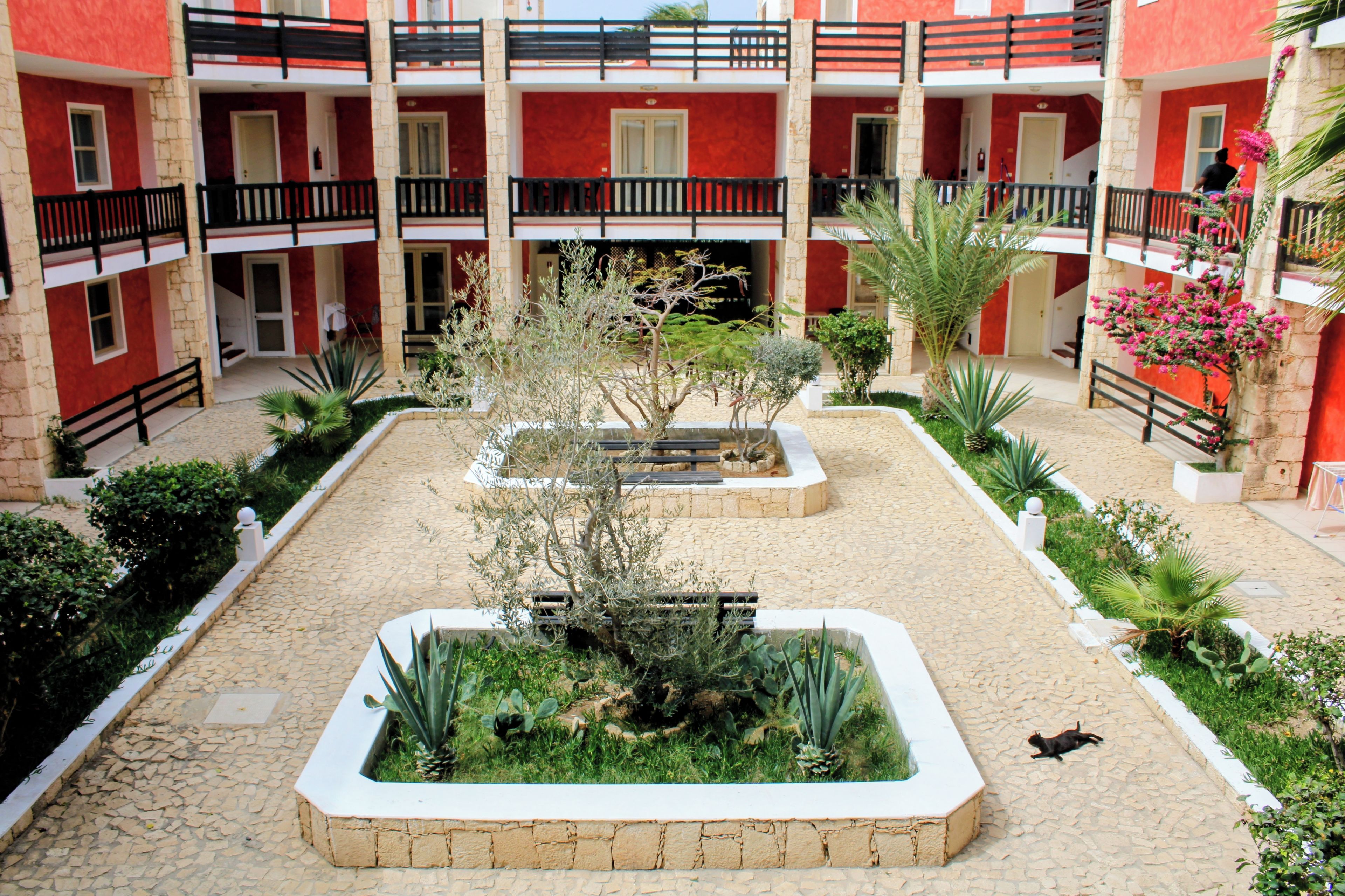 Un patio interior con un jardín central, rodeado por un edificio con balcones.
