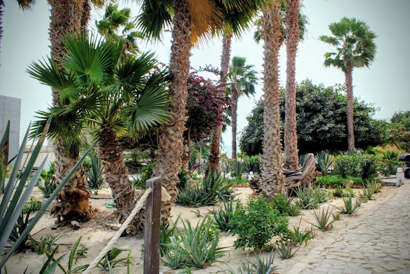 A garden with palm trees, various plants, and a cobblestone path.