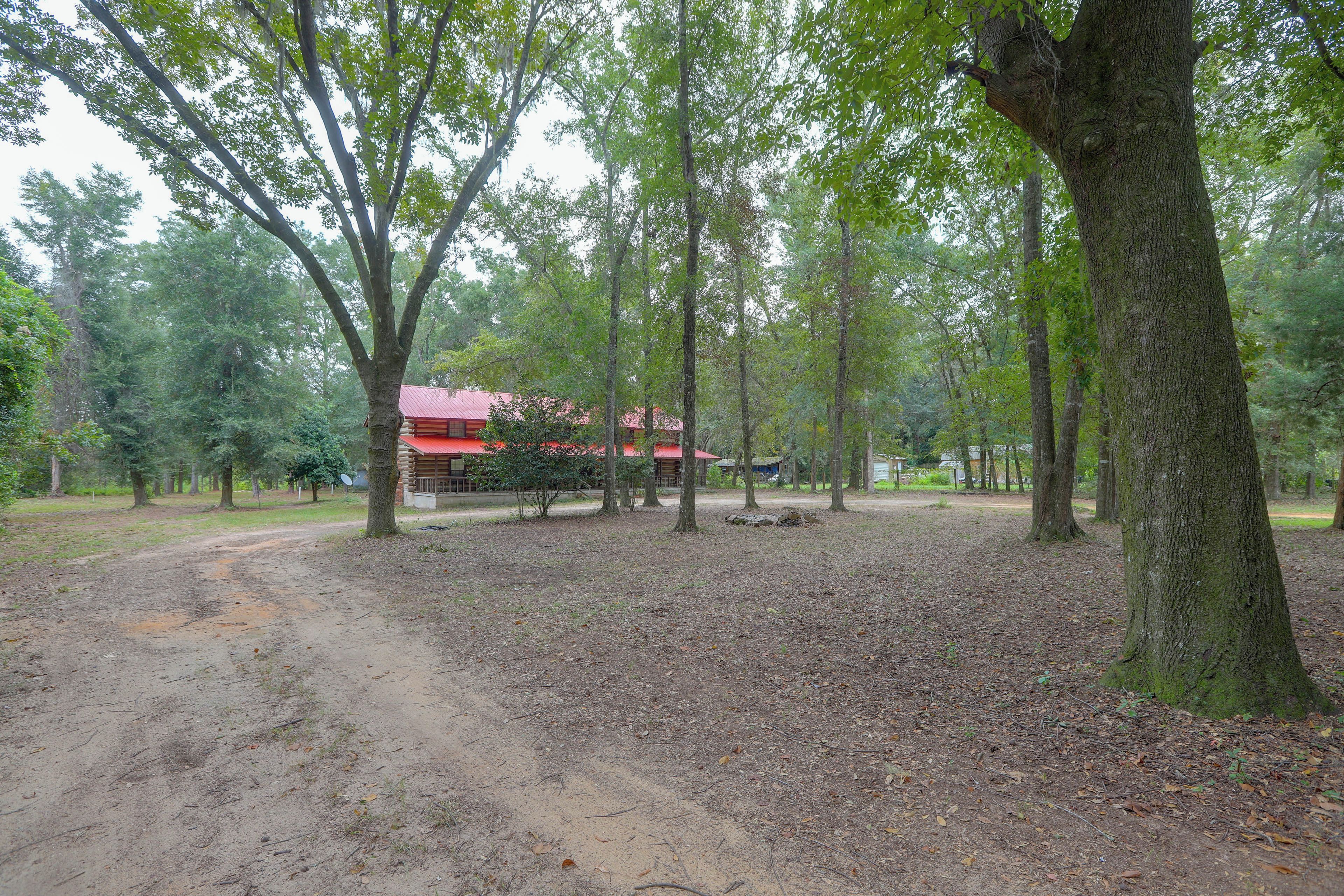 A forested area with a dirt path leading to a building with a red roof.