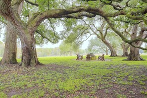 Un parc avec de grands arbres, une table de pique-nique et des chaises.
