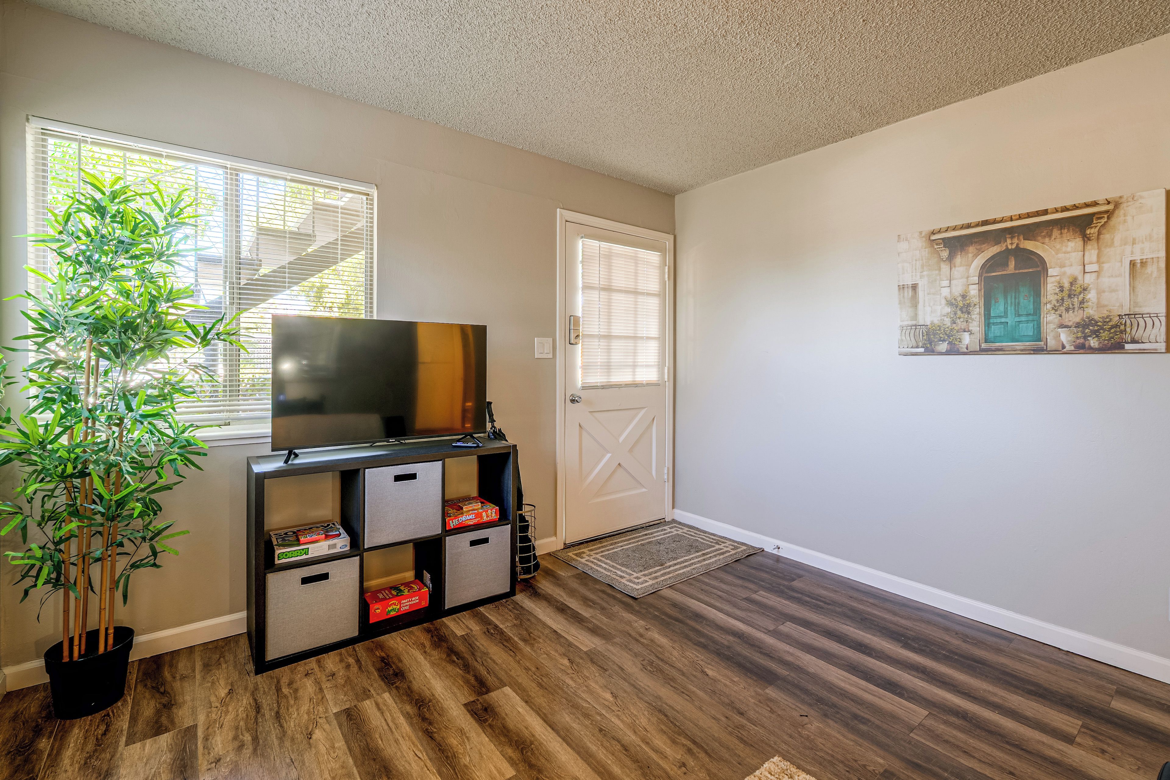 A room with a television on a stand, a door, a window with blinds, a potted plant, and a wall-mounted picture.