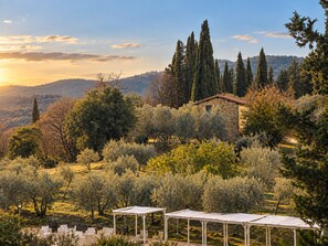 A stone building surrounded by olive trees and cypress trees, with a clear view of the surrounding landscape. - Private Tuscan Cottage in Chianti - Breakfast at Home Near Florence (Greve in Chianti)
