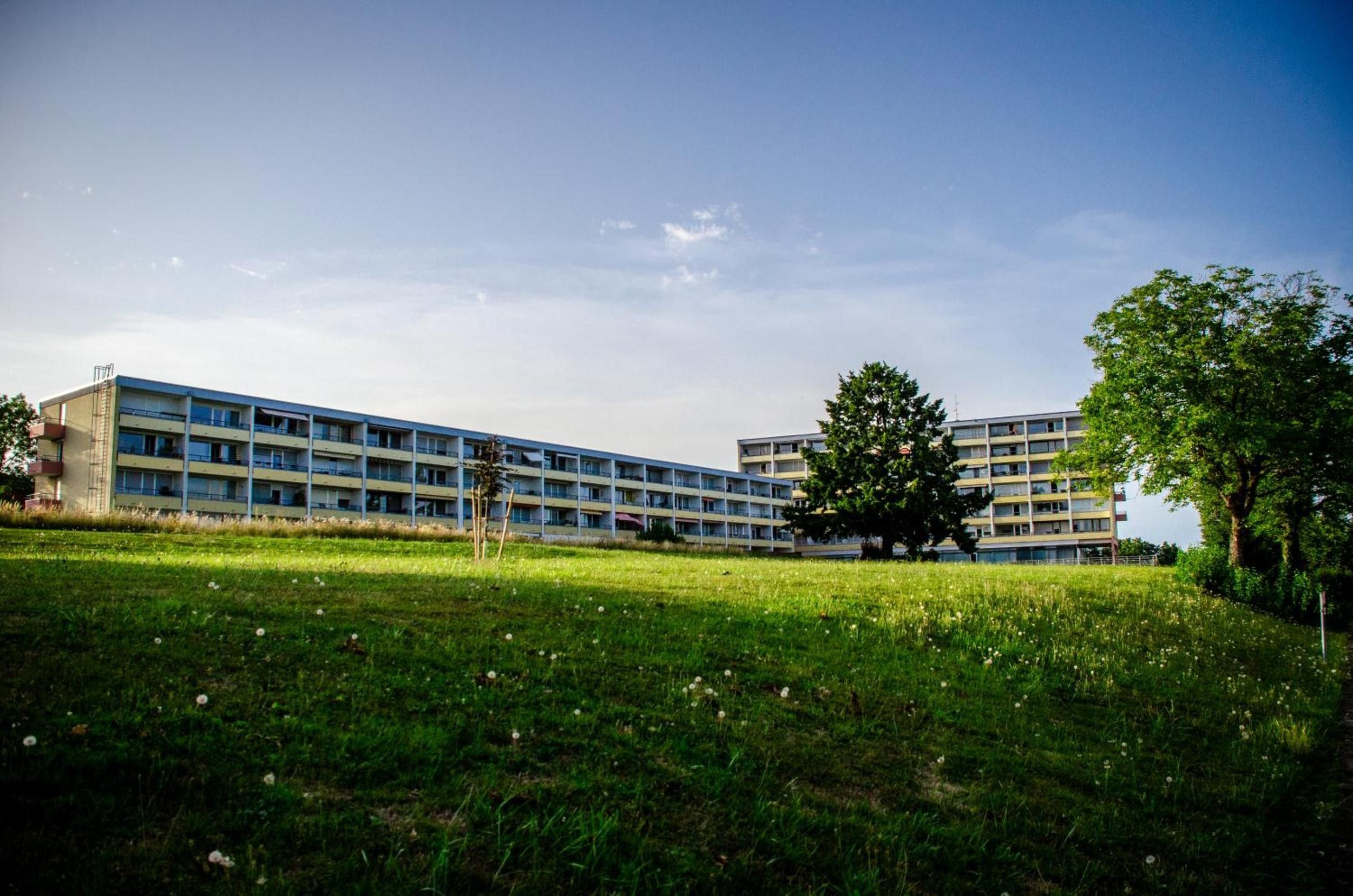 Un edificio de varios pisos con techo plano, rodeado por un área verde con árboles.