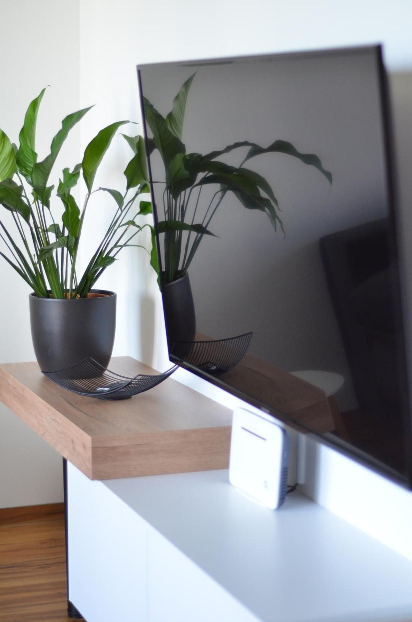 A flat-screen monitor on a wooden desk with two potted plants.