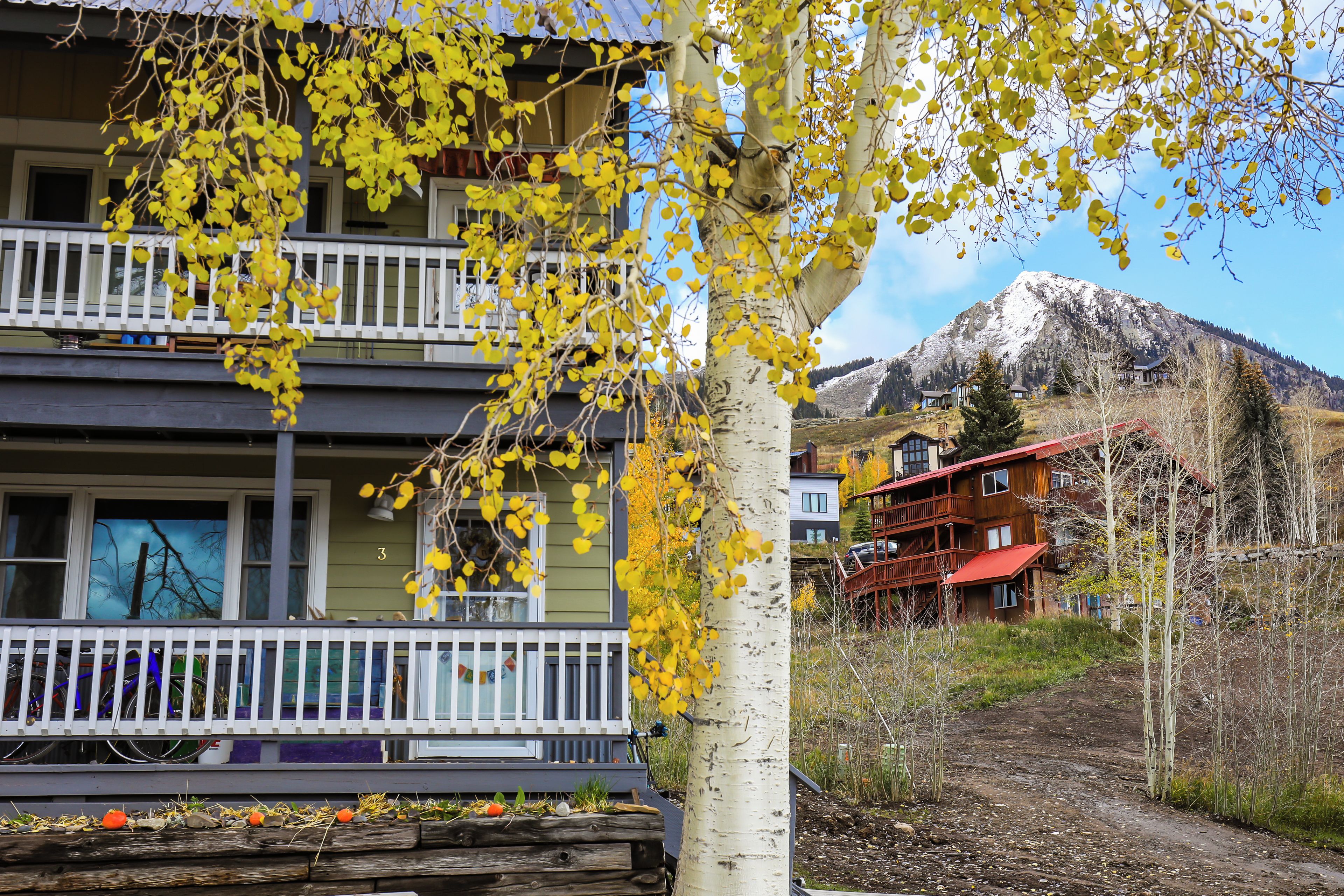 Un immeuble à plusieurs étages doté d’un balcon, entouré d’arbres aux feuilles jaunes, avec une montagne en arrière-plan.