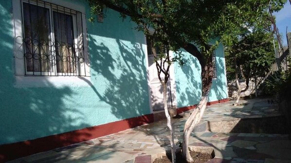 A building with a tiled patio, a window with decorative bars, and a tree in the foreground.