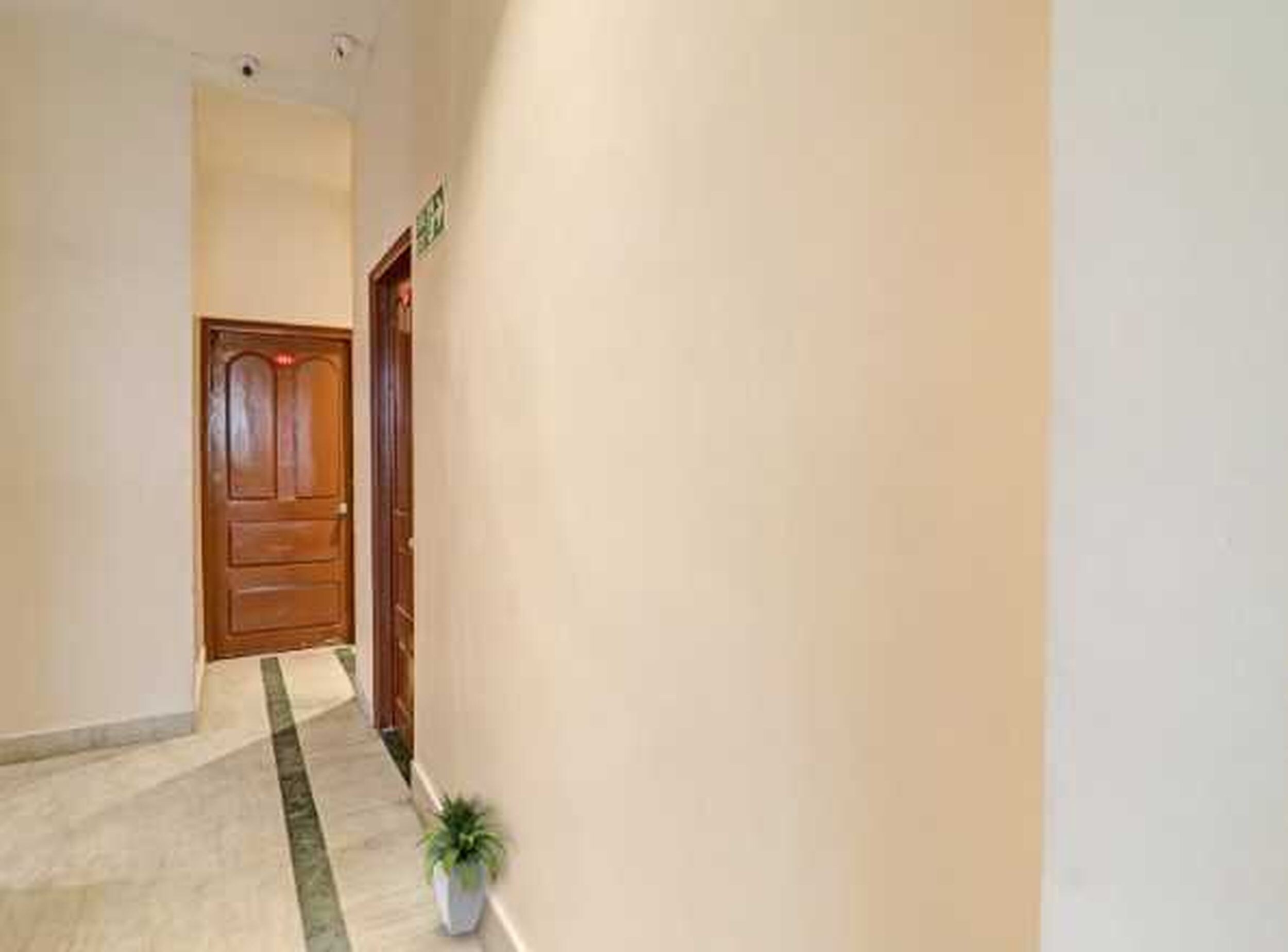 A hallway with a wooden door, a potted plant, and a tiled floor.