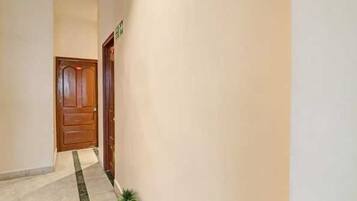 A hallway with a wooden door, a potted plant, and a tiled floor.