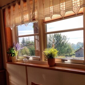 Una ventana con dos plantas en macetas y una vista despejada del exterior.