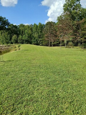 A grassy field with trees and a clear sky. - TWG - Tent Campsite (4) (Graysville)