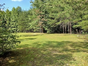 A grassy field with trees and a fence.