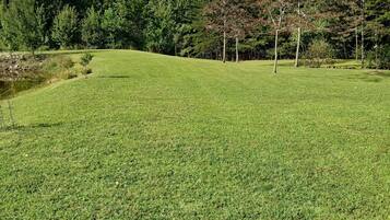 Un campo cubierto de hierba con árboles y cielo despejado.