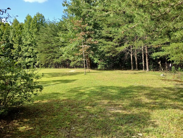 A grassy field with trees and a fence.
