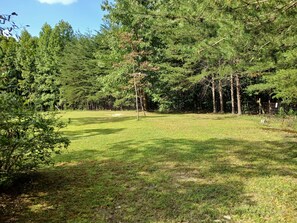 A grassy field with trees and a fence. - TWG - Tent Campsite (6) (Graysville)