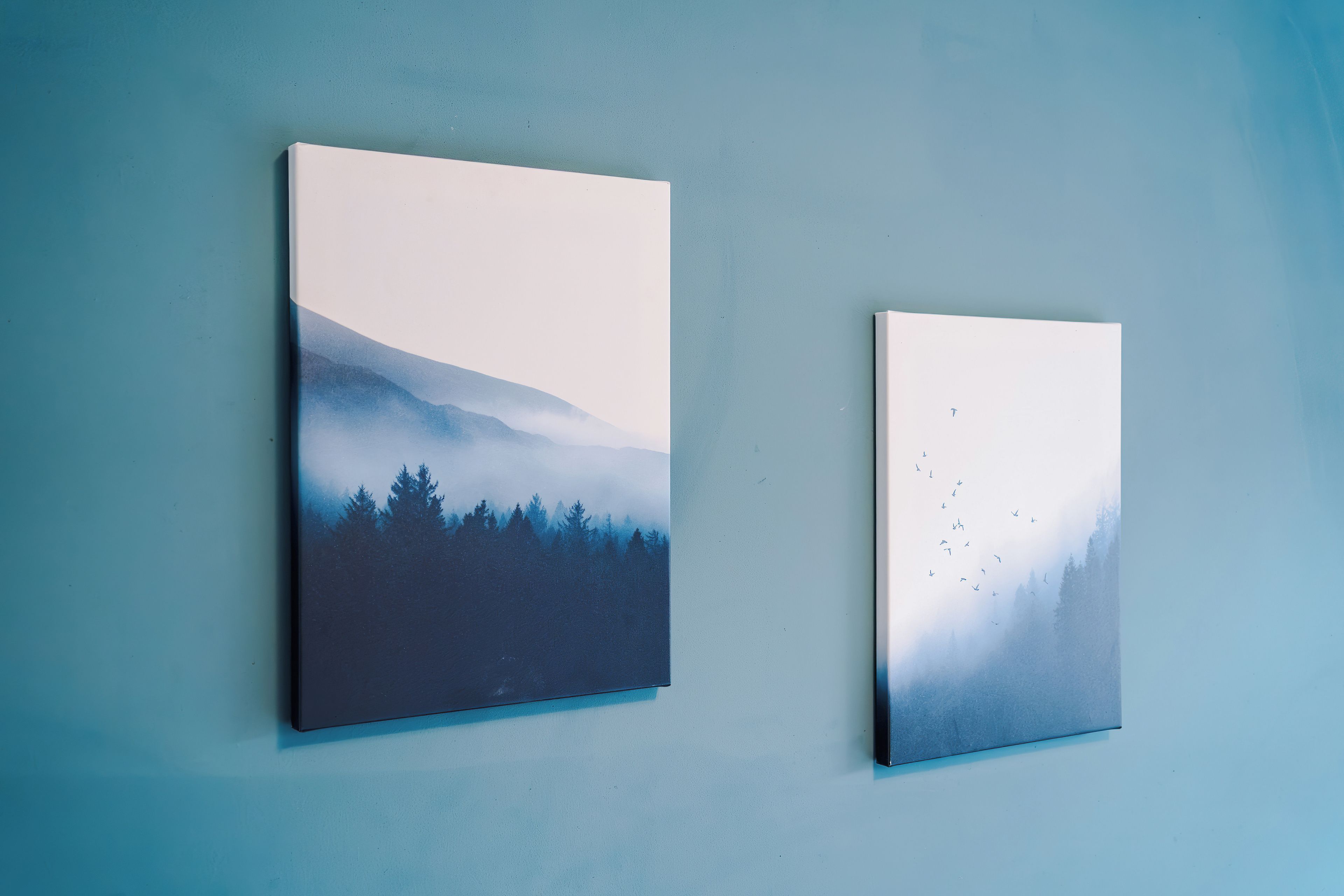 Two wall-mounted paintings depicting forest scenes with mist and birds.