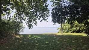 A grassy area with trees and a view of a body of water. - Green Home Apartment (Bolsena)