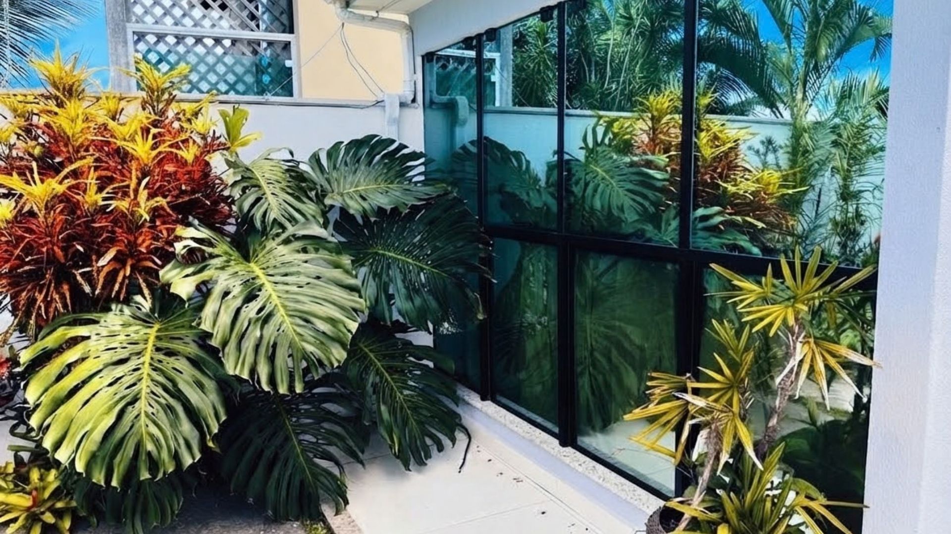 A modern building with large glass windows and a variety of tropical plants in the foreground.