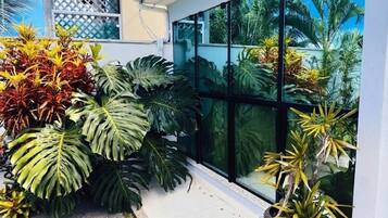 A modern building with large glass windows and a variety of tropical plants in the foreground.