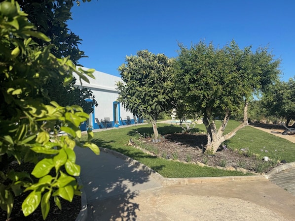 Un área ajardinada con árboles, un sendero y un edificio con detalles azules.
