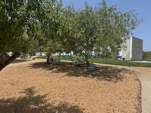 Un área de estar al aire libre con bancos y un árbol, un camino pavimentado y un edificio al fondo.