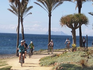 Ein Küstenpfad mit Radfahrern, Palmen und Blick auf das Meer.
