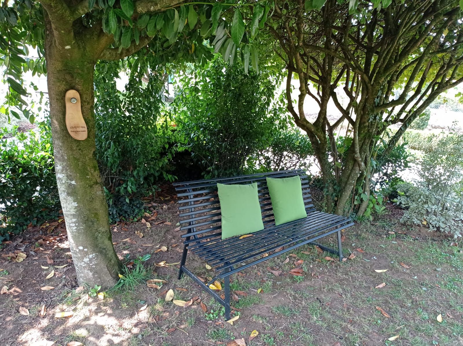 A bench under a tree with a wooden plaque.