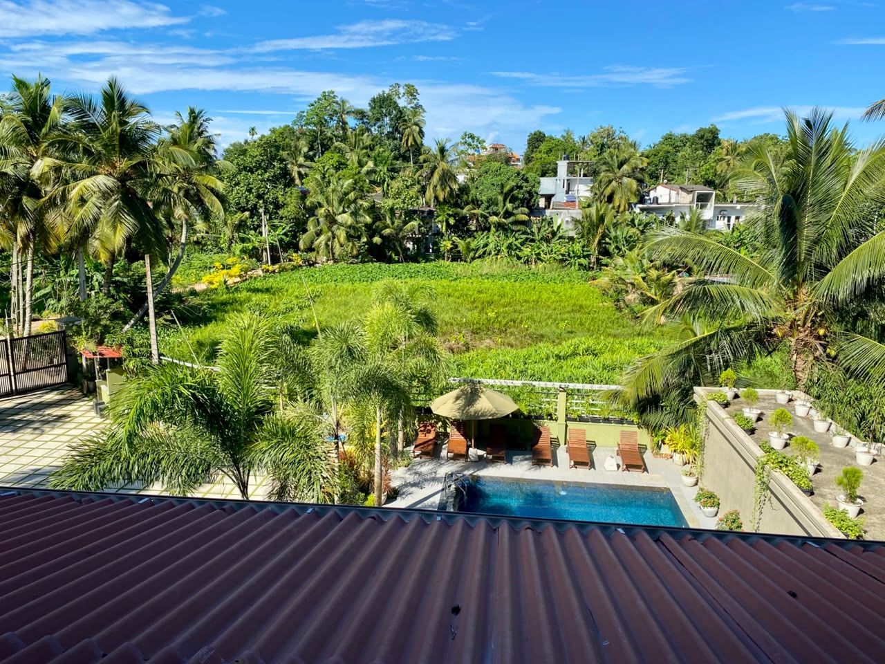A rooftop pool area with lounge chairs and a thatched umbrella, surrounded by lush greenery and palm trees.