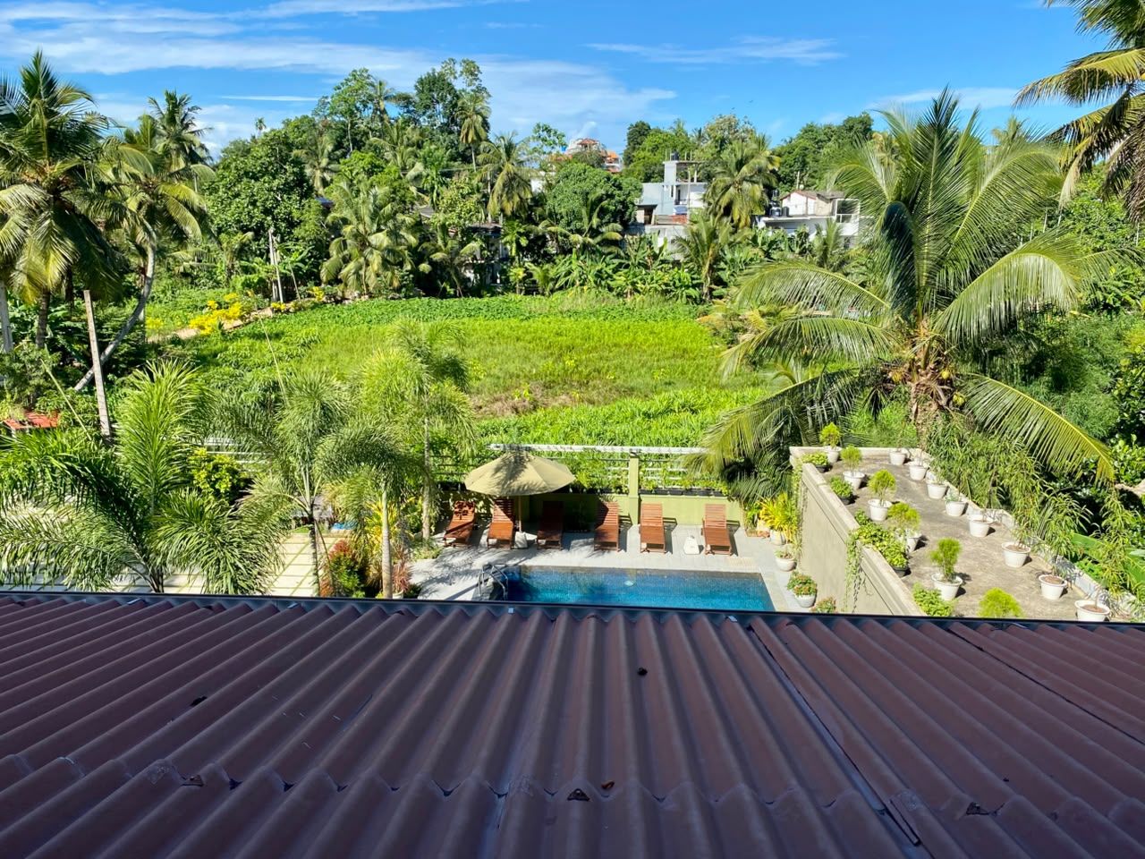 A rooftop pool with a view of a lush garden and a building in the background.