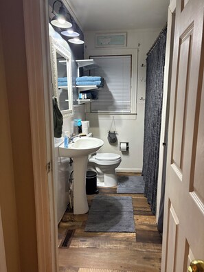 A bathroom with a sink, toilet, and mirror. There are towels and a shower curtain. - Little Linden Lodge: 2-bedroom house in charming McKenzie (McKenzie)