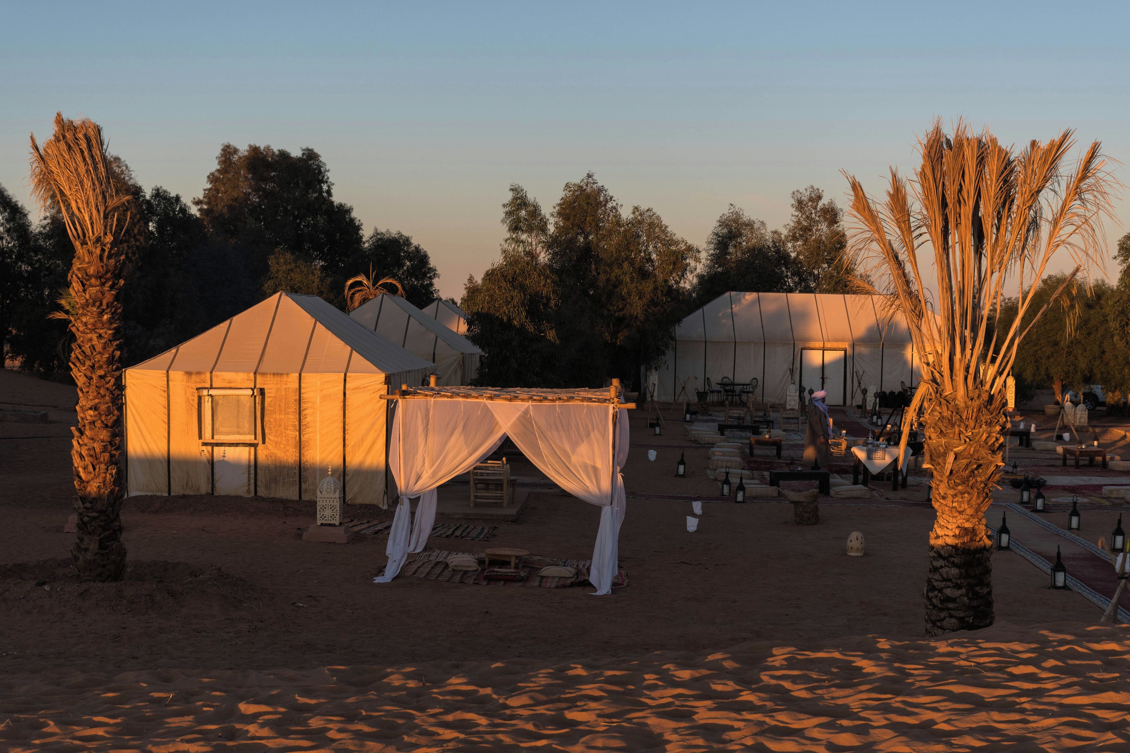 Acampamento no deserto com tendas e palmeiras.