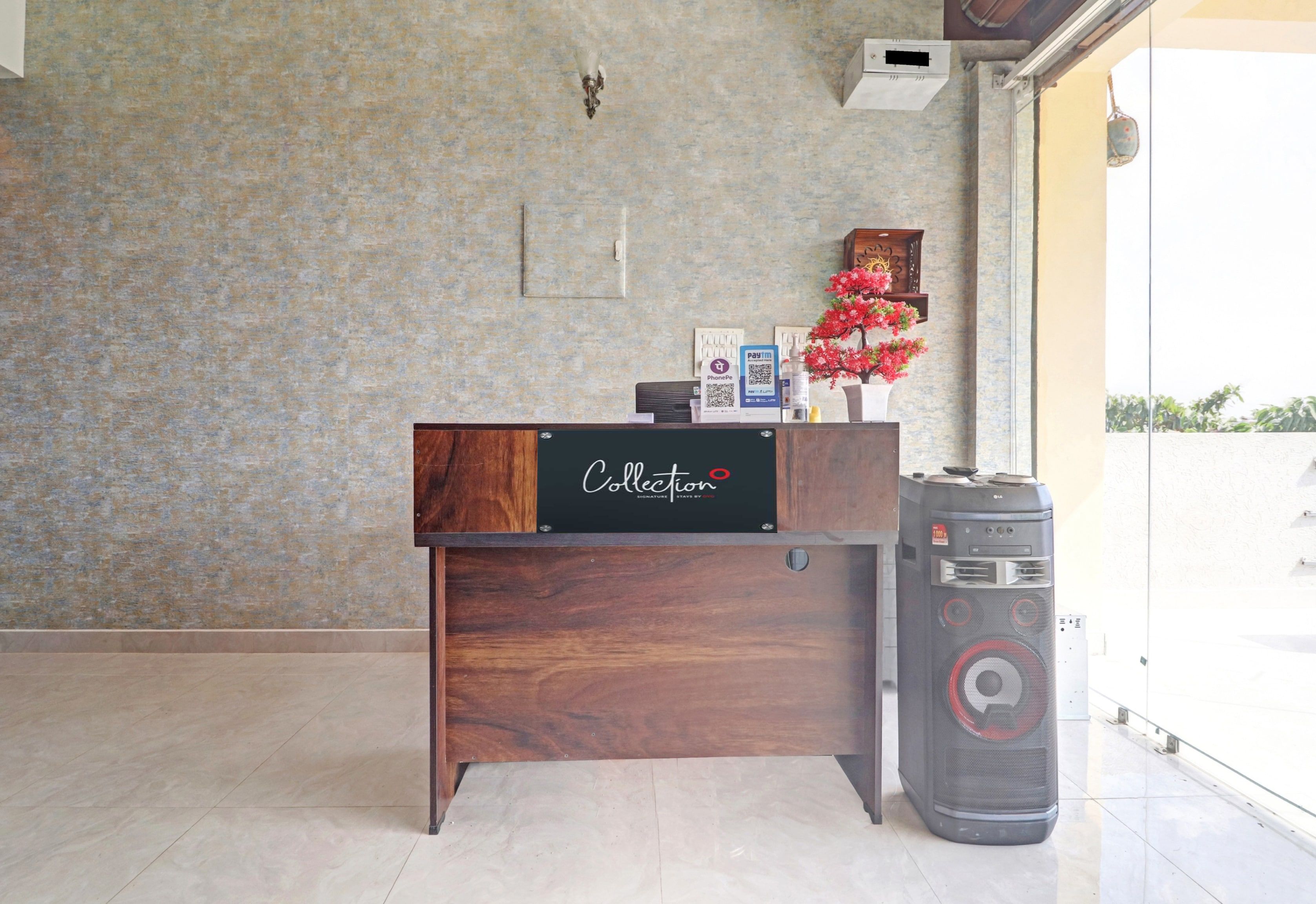 Balcão de recepção com placa 'Collection', barreiras de acesso e uma planta decorativa.