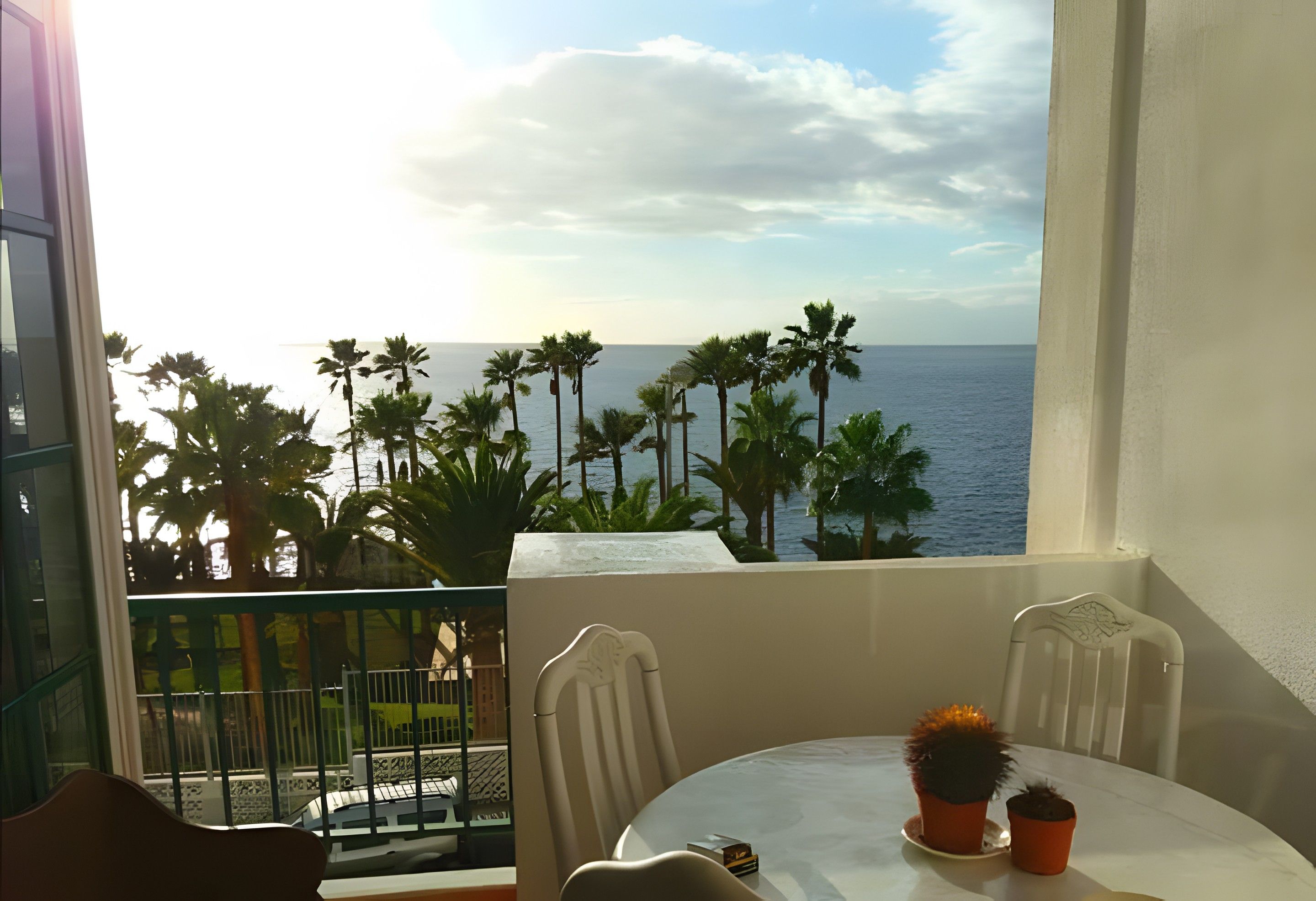 A balcony with a view of the sea and palm trees.