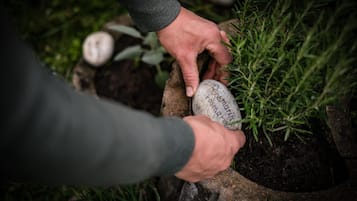 Una persona che depone una pietra con l'iscrizione 'Rosmarinus officinalis' in un vaso.