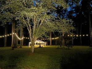 Un árbol con luces de cuerda, una tienda de campaña y una zona con césped.